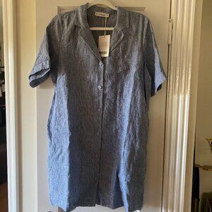 Everlane Linen Shirt Dress